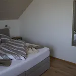 Pension-ferienwohnung Rotar 게스트하우스 팍암시
